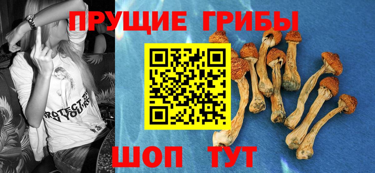 Галлюциногенные грибы GOLDEN TEACHER Саранск