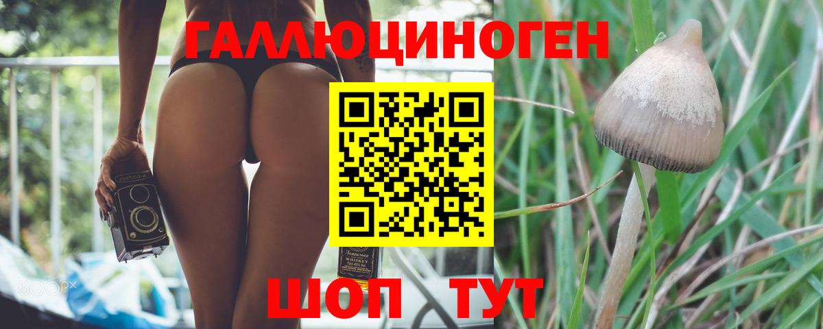 Галлюциногенные грибы Psilocybine cubensis  наркошоп  Саранск  Вход с VPN 
